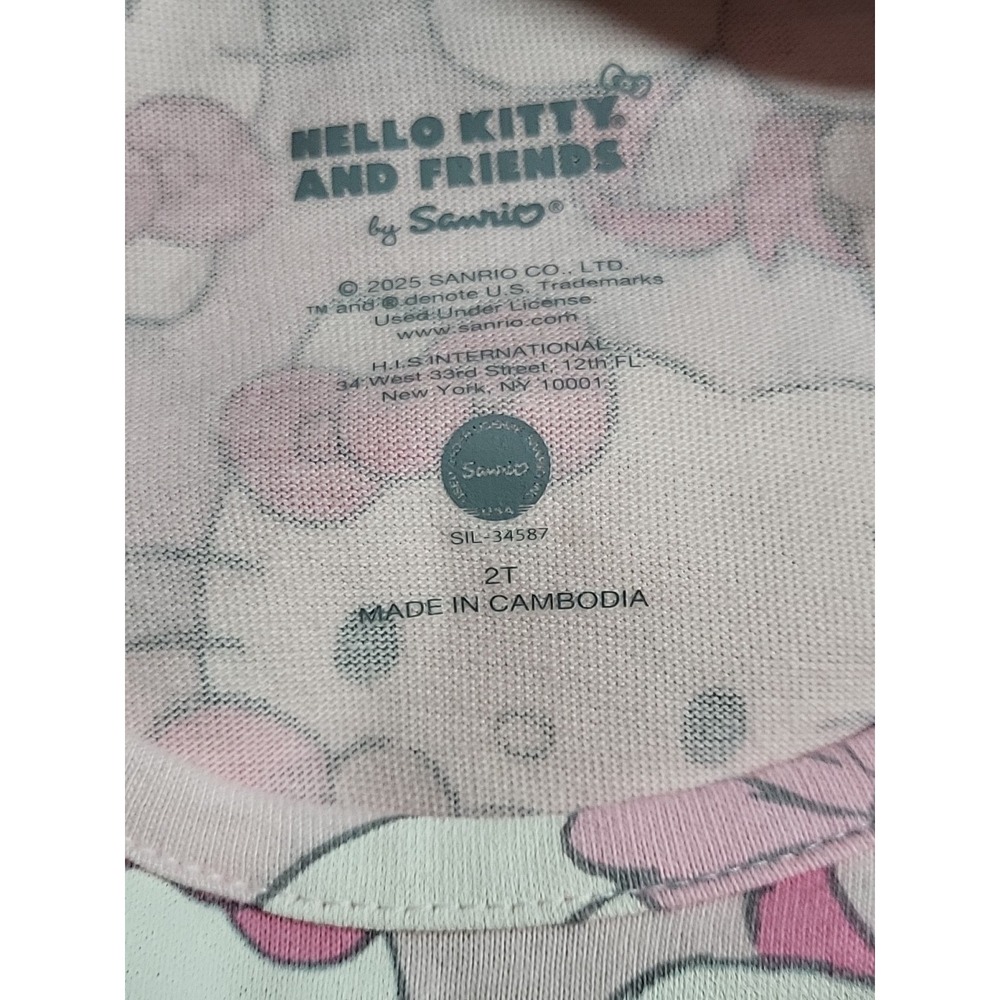 Girls' Hello Kitty & Friends Pink Long Sleeve Dress Size 2T NWT Toddler Baby Top - Picture 5 of 9